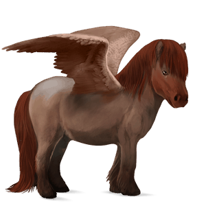 pegaz poni Šetland pikasto siva