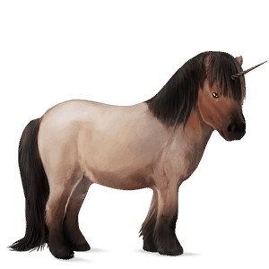 samorog poni Šetland rdečkasto siva