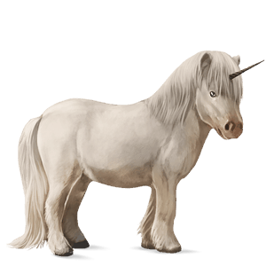 samorog poni Šetland cremello