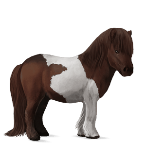 poni Črna