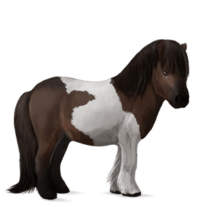 poni temno kostanjeva
