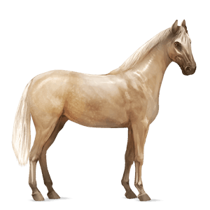 jahalni konj tennessee walker Črna