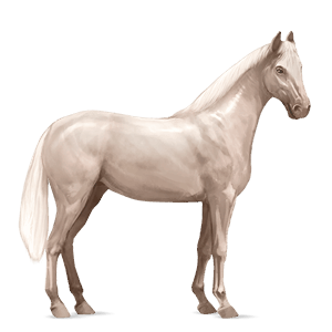 jahalni konj kwpn cremello
