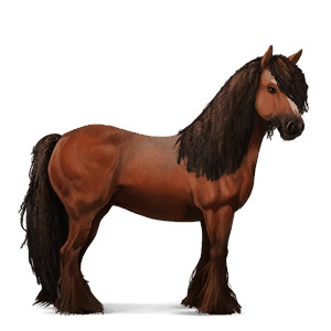 jahalni konj appaloosa rdečkasto rjava pikčasta 