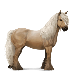 jahalni konj islandski konj palomino