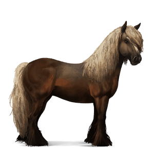 jahalni konj gypsy vanner laneno temno kostanjeva 