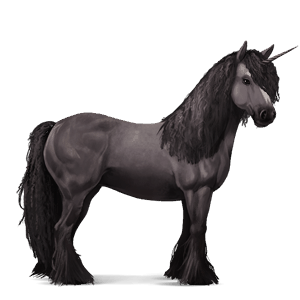 samorog poni Črna