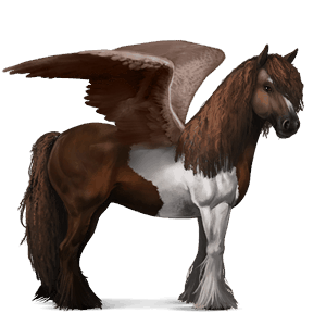 krilati konj za jezdenje gypsy vanner temno kostanjeva tobiano