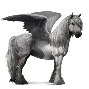krilati konj za jezdenje gypsy vanner Črna tobiano