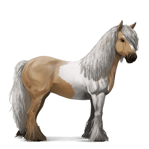 jahalni konj camargue pikasto siva