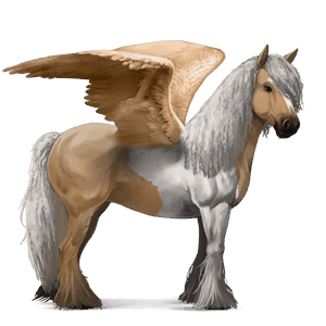 krilati konj za jezdenje gypsy vanner palomino tobiano