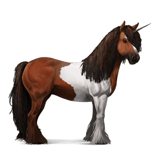 samorog za jezdenje gypsy vanner rdečkasto rjava tobiano