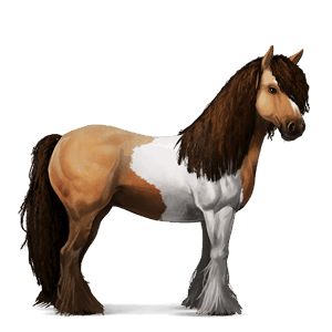 jahalni konj tennessee walker rdečkasto rjava