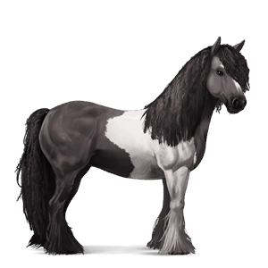jahalni konj gypsy vanner pikasto siva tobiano