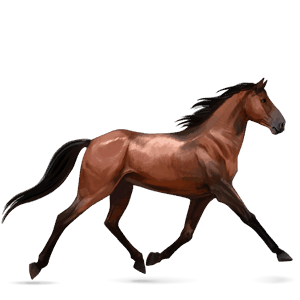 jahalni konj tennessee walker Češnjevo rdečkasto rjava