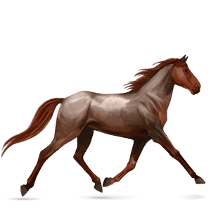 jahalni konj tennessee walker kostanjeva
