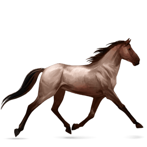 jahalni konj tennessee walker rdečkasto siva