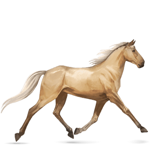 poni connemara palomino