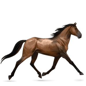 jahalni konj francoski kasač temno rdečkasto rjava