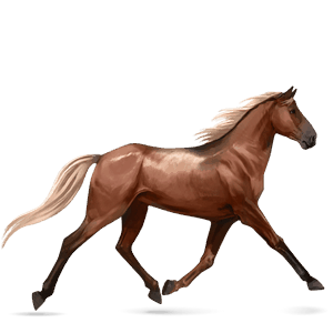 jahalni konj tennessee walker rdečkasto rjava