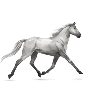 jahalni konj camargue svetlo siva