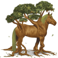 posebni konj yggdrasil