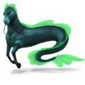 poni fjord ulsblakk
