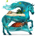 poni fjord brunblakk