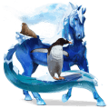poni novofundlandski poni Črna