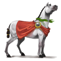 pegaz poni fjord brunblakk