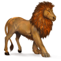 divji konj afriški lev