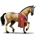 jahalni konj francoski kasač rdečkasto rjava