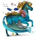 samorog poni fjord brunblakk