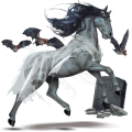 jahalni konj holštajnec Češnjevo rdečkasto rjava