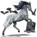poni Šetland pikasto siva