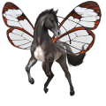 jahalni konj appaloosa Črna z belim zadkom 