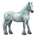 božanski konj greyfell