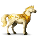 poni palomino