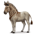 prazgodovinski konj evropski divji osel