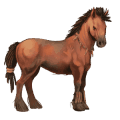 jahalni konj appaloosa palomino z belim pikčastim zadkom 