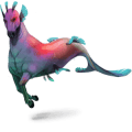 poni fjord brunblakk