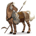 poni brunblakk