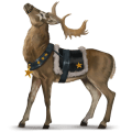 božanski konj prancer