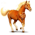 božanski konj wikaïla