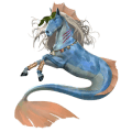 krilati samorog poni  fjord brunblakk