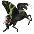 potepuški konj madagaskarski metulj