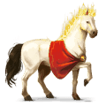 poni fjord brunblakk