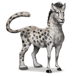 divji konj snežni leopard