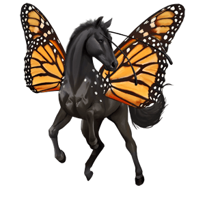 jahalni konj polnokrvni španski konj svetlo siva