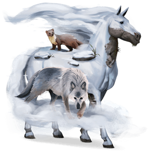 jahalni konj polnokrvni španski konj palomino